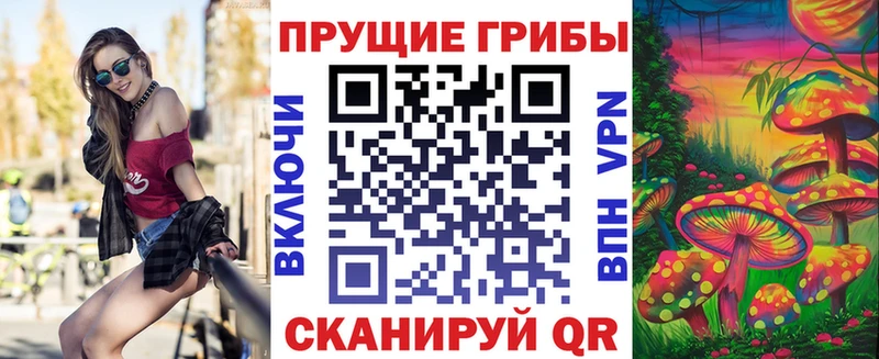 Галлюциногенные грибы Cubensis Кызыл